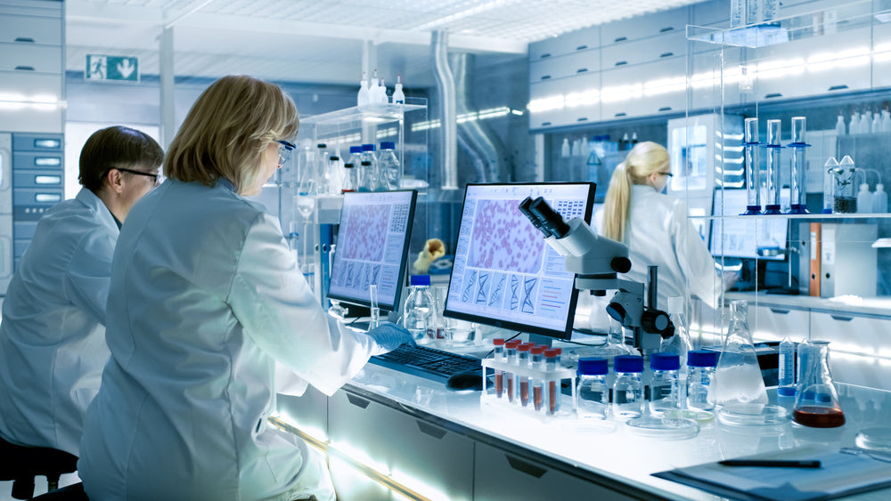Babesia testing