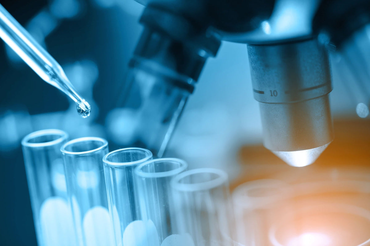 Test for multiple Lyme species